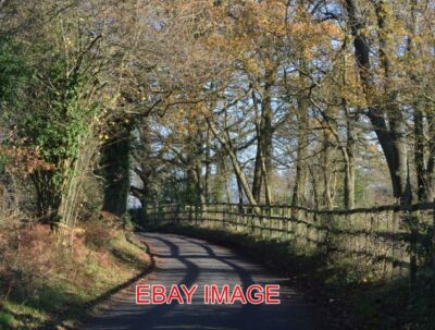 PHOTO  COUNTRY LANE QUICK'S GREEN BERKSHIRE 2015