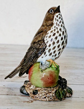 Mack China Song Thrush Rare Porcelain Hand Painted Vintage Bird Figurine Vgc