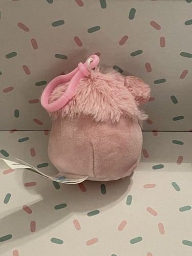 brina clip squishmallow