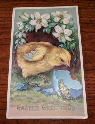 Vintage Easter Greetings Postcard Hatching Chicken baby chick made Germany 1913