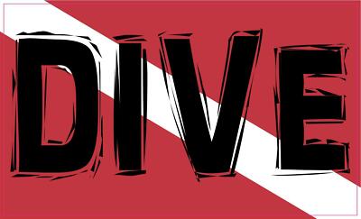 5in x 3in DIVE Diver Down Car Magnet Flag Bumper Vehicle Magnets