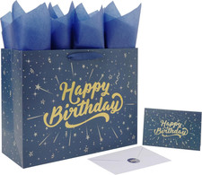 13'' Large Birthday Gift Bag Set with Handles, Greeting Card, Blue Tissue Papers