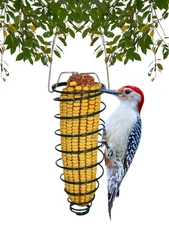 Corn Caddy Squirrel Feeder - Metal Holder for Corn Cobs Fruit Slices Suet or