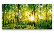 120x60cm Leinwandbild Grüner Wald Sonnenstrahlen Natur Schön Bäume Harmonie