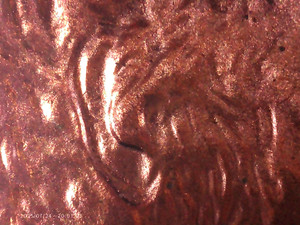 2006 DDO double die obverse Double Ear Lincoln Memorial Rare  A/U Red Error Coin