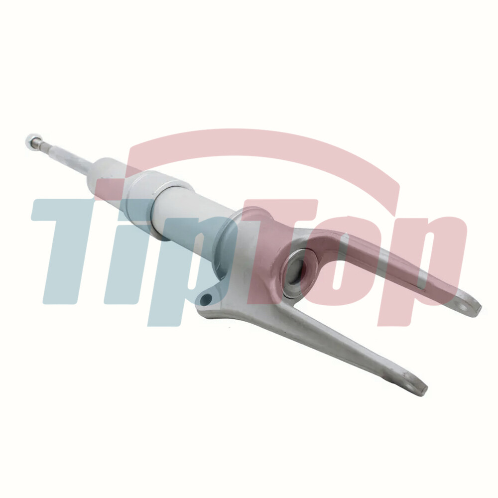 2X Front Air Suspension Shock Struts Absorbers PASM Fit Porsche Panamera 970 10-