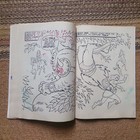 Picture 13 of 21