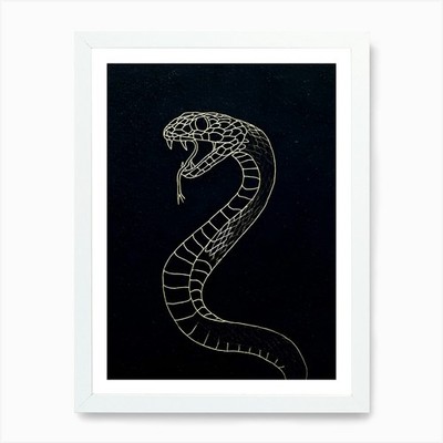 Schlange auf schwarzem Hintergrund Kunstdruck gerahmt Wandbild Poster Leinwanddruck Bild
