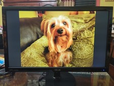 ASUS VS229 - 1920x1080 22" Monitor - Includes Stand  Power/VGA Cables