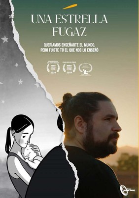 Una Estrella Fugaz [DVD] (2024) Un estel fugaç