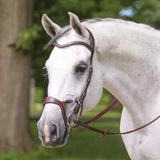 Premium Leather English Horse Bridle with Tack Set Available all Sizes