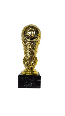 Mini-WM Pokal, 16cm mit Gravur!