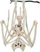 1 Pc Horrible Halloween Fledermaus Skelett Simulation Fledermaus Lebensechte Fle