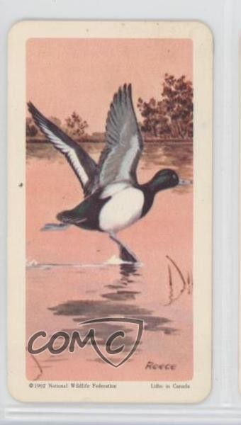 1962 Brooke Bond Red Rose Birds of North America Tea Canadian Black Back #17 0a3