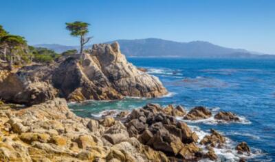 Wandbild: Klassische Postkartenansicht der berühmten Lone Cypress, einem [...]
