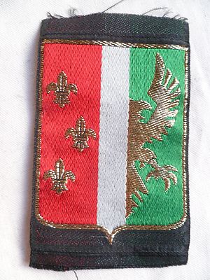 Ecussons tissu - 1 insigne militaire tissus Losange / Armée de Terre