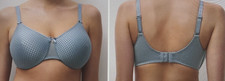 Chantelle 44D blue Magnifique Seamless Unlined Minimizer Underwire Bra 2791