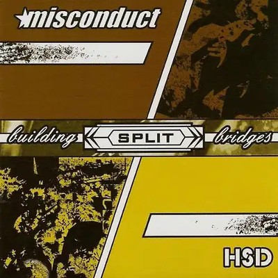 Misconduct - Building Bridges