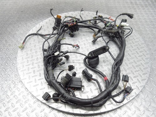Arnés de cableado del motor principal Ducati ST4 ST4S 2000 96-03 cable telar OEM - Imagen 9 de 21