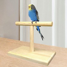 Bird Training Stand Gym Accessories Portable Stable Bird Perch Stand Wooden for