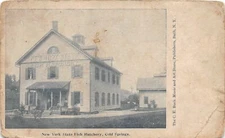 H65/ Cold Spring New York Postcard c1910 New York State Fish Hatchery 90