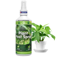 ORGANIC PLANT SPRAY Greenfly Blackfly Whitefly Aphids Spider Mites Scale 250ml