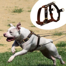 Real Leather Dog Weight Pulling Harness Heavy Duty Large Dog Vest for Pitbull