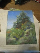 Original Pastel By Peg Humphreys, Tree above Rock on Heavy Board 11"x 14" 