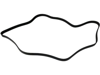 SKP 18BN92S Multi Rib Belt Fits 2009-2010 BMW 528i xDrive 3.0L 6 Cyl GAS