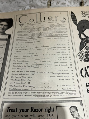 Antique Maxfield Parrish The Philosopher Colliers Magazine Cover Nov. 2, 1912 - Picture 8 of 12