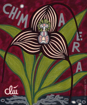 JACQUELINE DITT - Masdevallia Dracula Chimaera Orchidee A4 DRUCK n.Gemälde Bild - Bild 1 von 3
