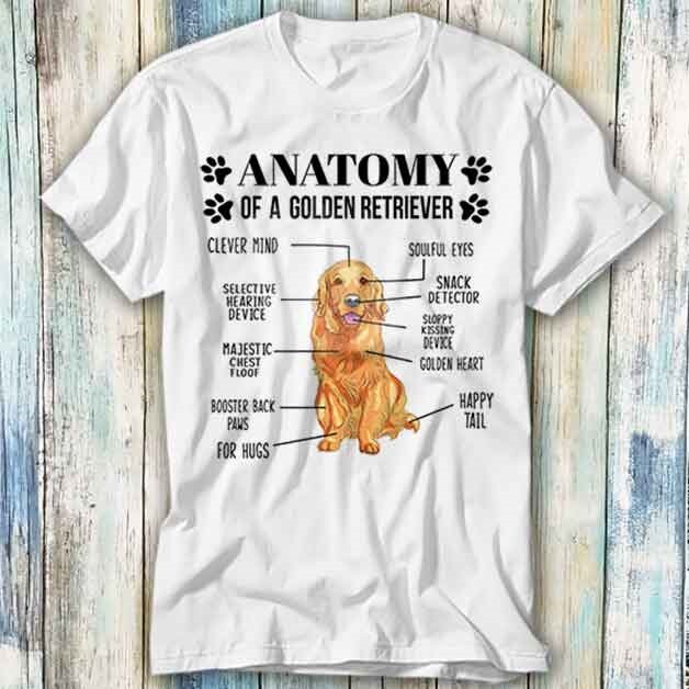 GOLDEN 　　GOLDEN BF SHIRT Anatomy Of A Golden Retriever T Shirt Meme Gift Top Tee Unisex