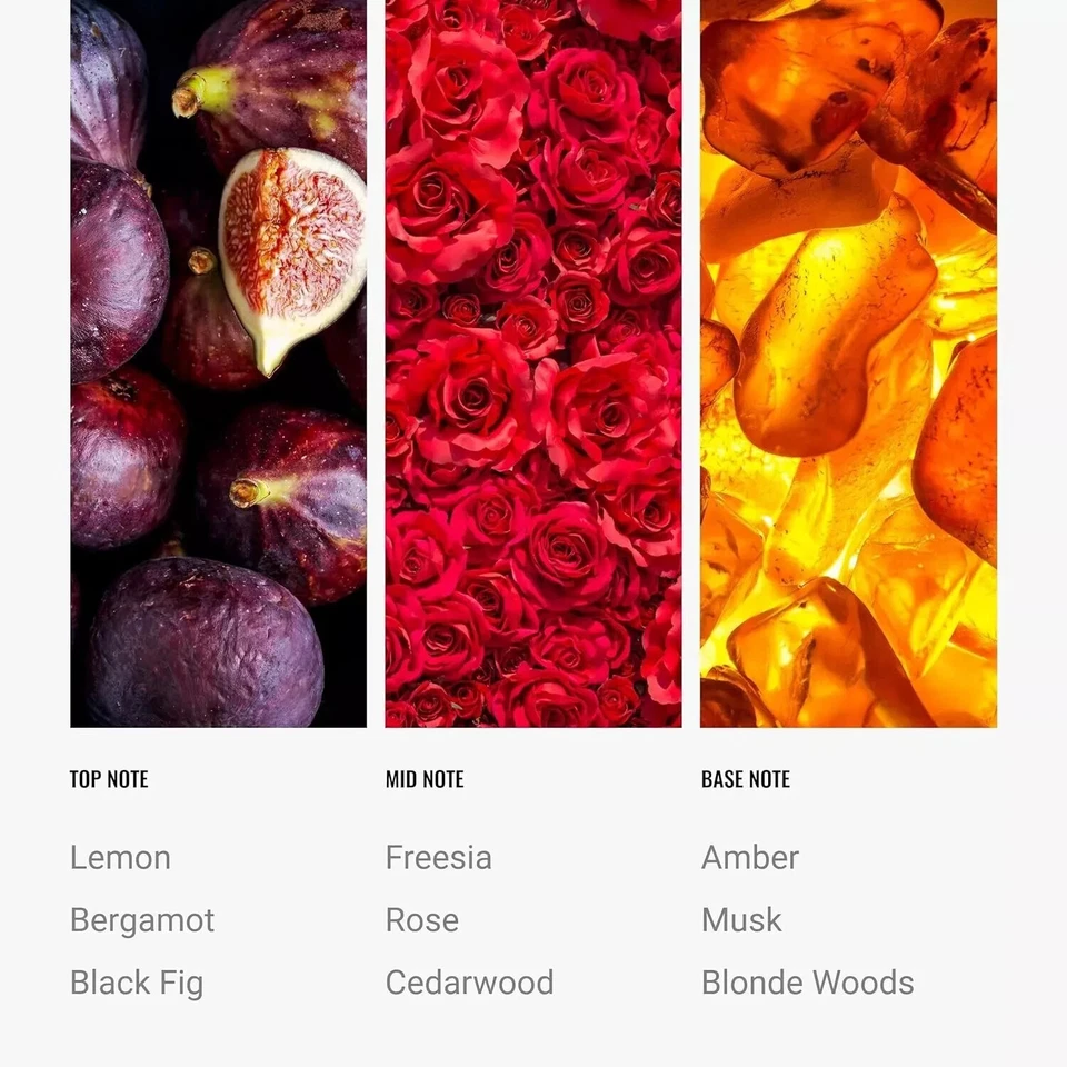 🔥🌿 Hotel Collection Black Velvet™ 120ml Aromatherapy Diffuser Oil ✨🔥 - Image 3 of 4