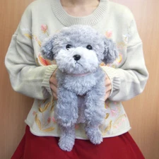 Sun Lemon Lap-Sized Toy Poodle Plush Toy S 37cm Gray Knee Series-Dog Japan