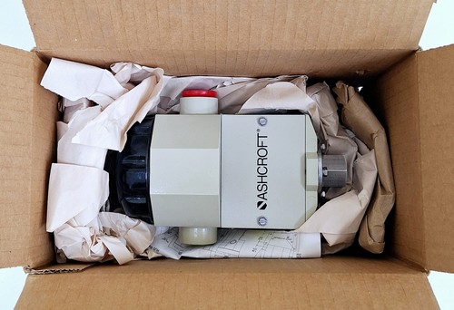 Ashcroft PPDN7JJS07 XFP Snap Action Switch 30 psi 11A 125/250VAC - Picture 3 of 19