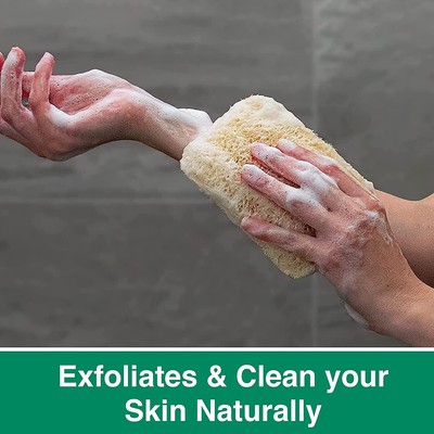 4 Stück Natürliche Luffa-Schwämme Sonnengetrocknet – Für Schonendes Peeling In Dusche & Bad