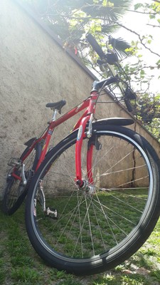 Mountain bike Olympia Made in Italy-acc.Cro-Moly-cambio Shimano 24 marce- usata | eBay