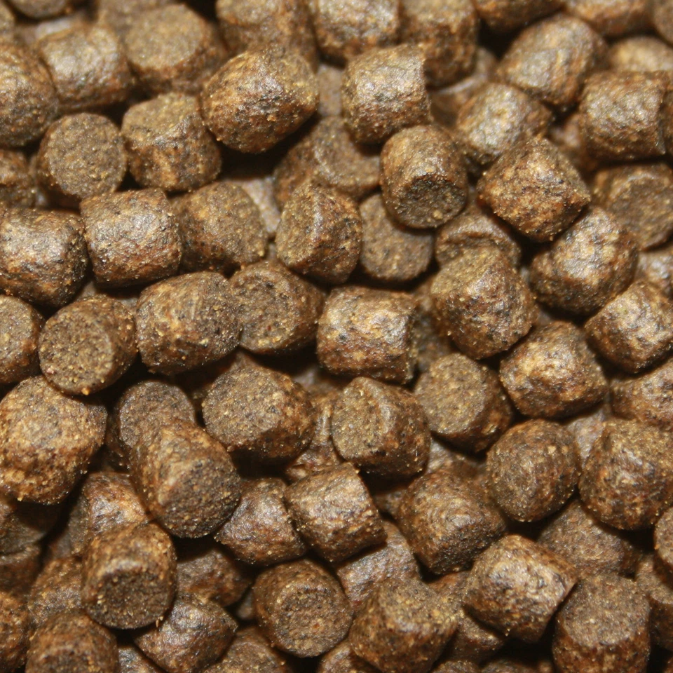 Winterfutter Koi, Betaglucan Koifutter, Sinkfutter Immunsystem Koi 5mm 5kg - Bild 3 von 4