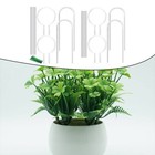 Weather Resistant Acrylic Trellis for Climbing Plants Indoor and Outdoor