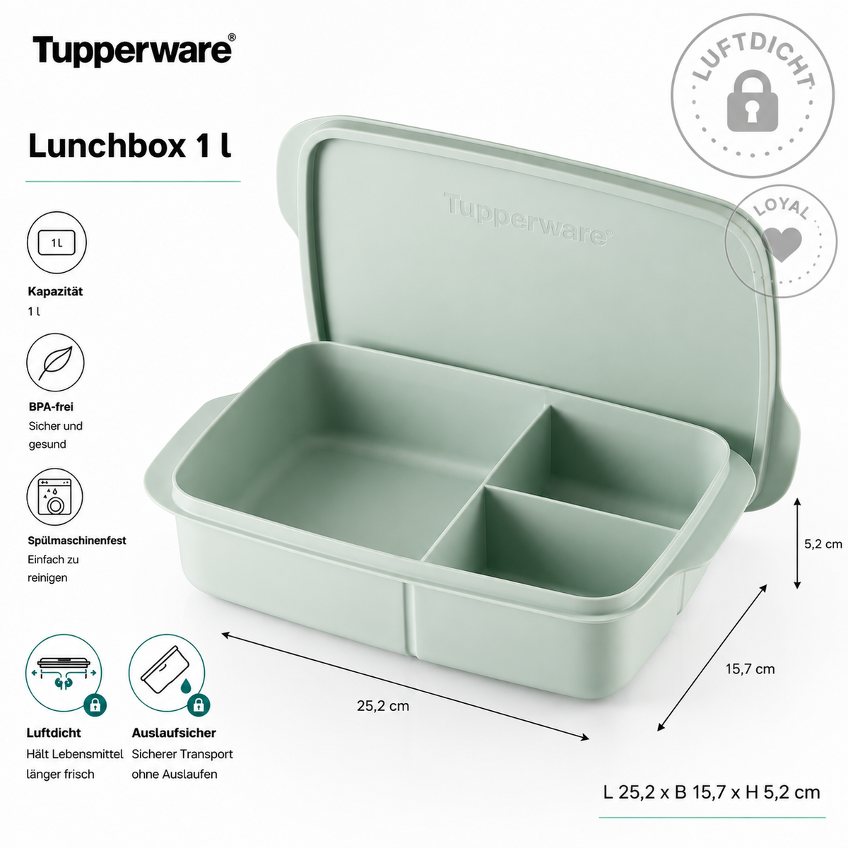 Tupperware große Clevere Pause Pausen-Spaß Brotdose Sandwich Lunchbox Twin grün