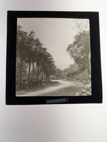 MAGIC LANTERN SLIDE c1900 ASIA ARABIC LONELY ROAD - Picture 2 of 2