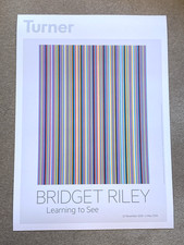 Bridget Riley Silvered Painting Learning to see Turner Contemporary poster