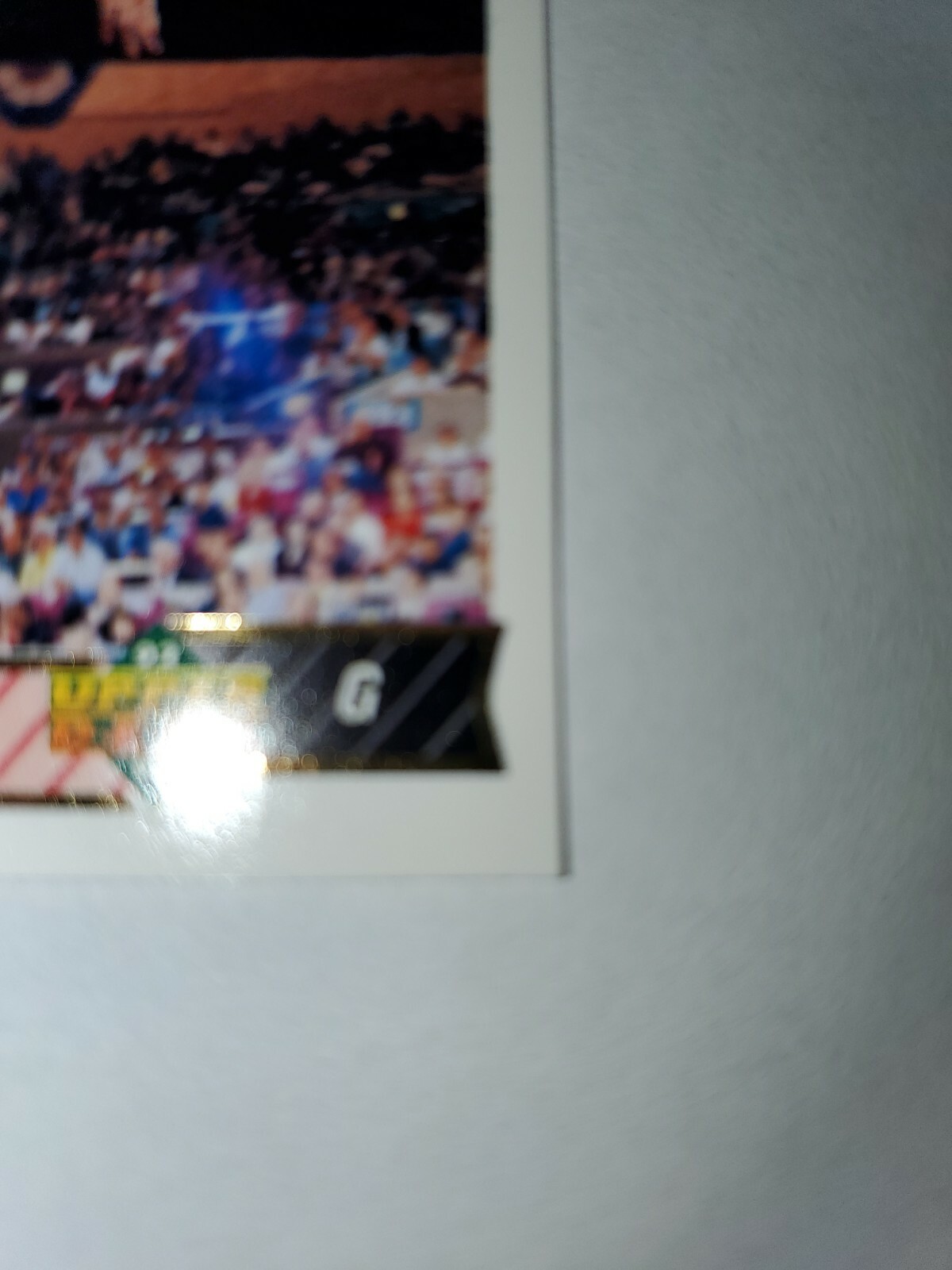 Picture 6 of 6