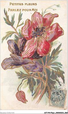 AITP9-FLOWER-0854 - Small Flowers - Speak for Me - Peonies