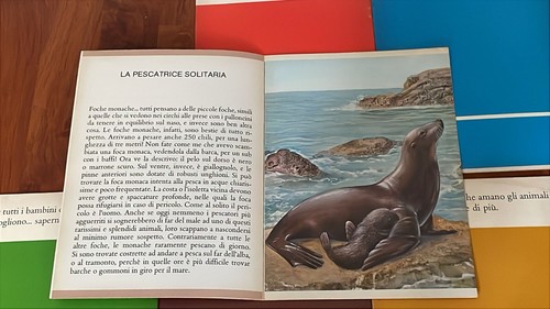 I MIEI PRIMI ANIMALI SERIE COMPLETA 8 LIBRICINI ILLUSTR.X BAMBINI-PICCOLI 1978 - Afbeelding 8 van 10