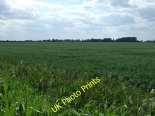 Photo 6x4 Ryland Field Manor Hill Corner Crop field looking over a drain  c2015