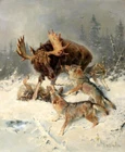Moose and Wolf Fighting oil painting Giclee Art Printed on canvas L3569