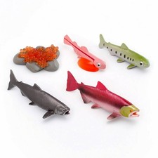 5 Pieces Life Cycle Figures with Display Card Molded Animal Figures