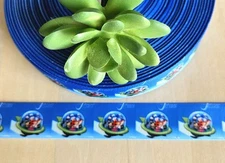 7/8 (1 YD) Jetsons Grosgrain Ribbon George Jane Elroy Astro Judy Jetson