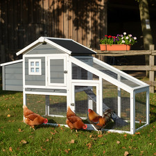 Hühnerstall Hühnervoliere Hühnerhaus Dottie mit Auslauf Gehege in Weiß Grau
